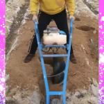 发明东西的小姐姐叫什么,发明奇才小姐姐的传奇故事